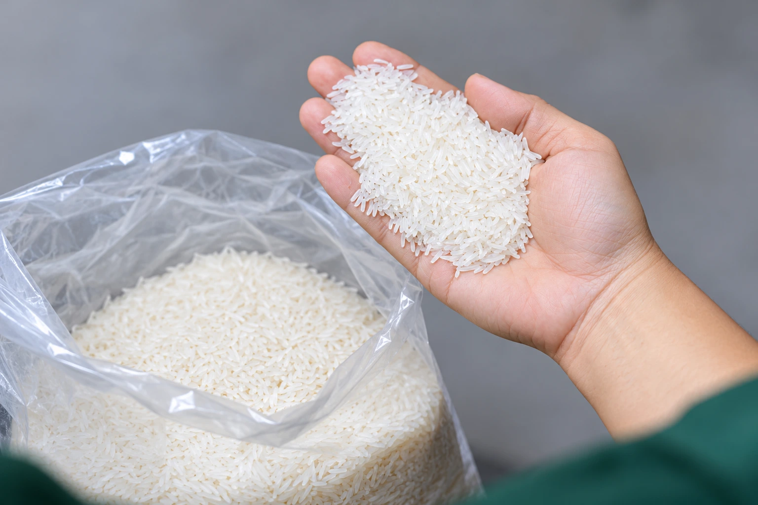 Rice sample inspection — rice sample presentation