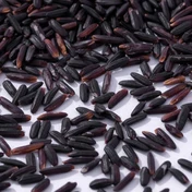 Additional Vilaconic grain photograph