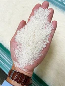 ST25 · Rice sample in hand