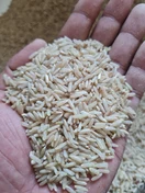 Brown rice in hand