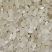 Additional Vilaconic grain photograph