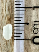Japonica · Grain beside a ruler
