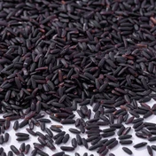 Black Glutinous Rice (Nếp Than) · Additional black glutinous rice view