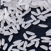 Additional Vilaconic grain photograph — representative fragrant rice view