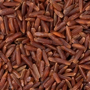 Additional Vilaconic grain photograph