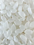 Japonica · Grain close-up