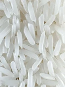 ST25 · Grain close-up