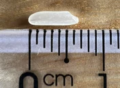 Đài Thơm 8 · Grain beside a ruler
