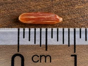 Huyết Rồng · Grain detail / measurement