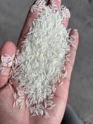 ST25 · Grain close-up in hand