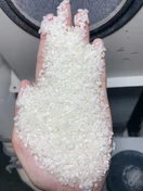 Japonica sample in hand