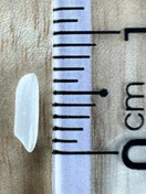 ST21 · Grain beside a ruler