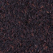 Additional Vilaconic grain photograph