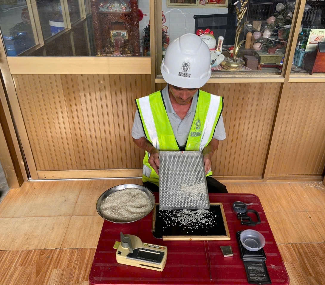 Rice sample sieving