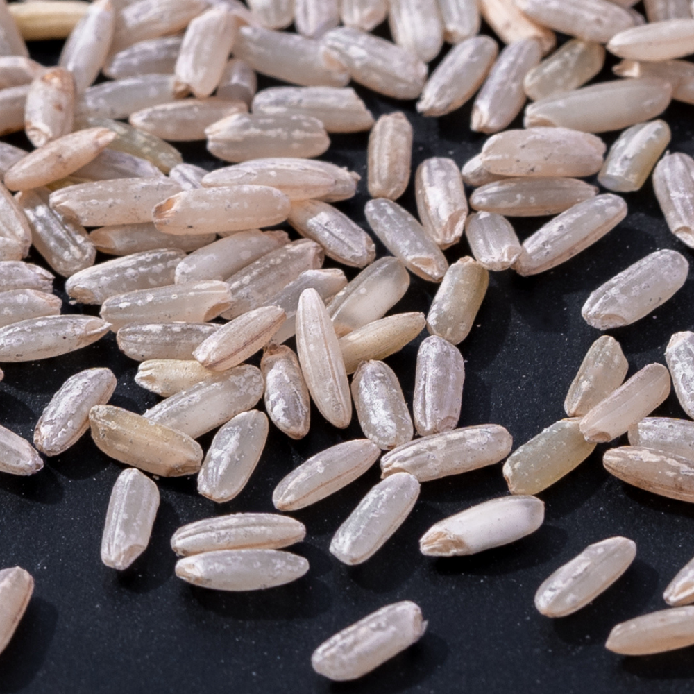 BROWN-RICE · Grain close-up