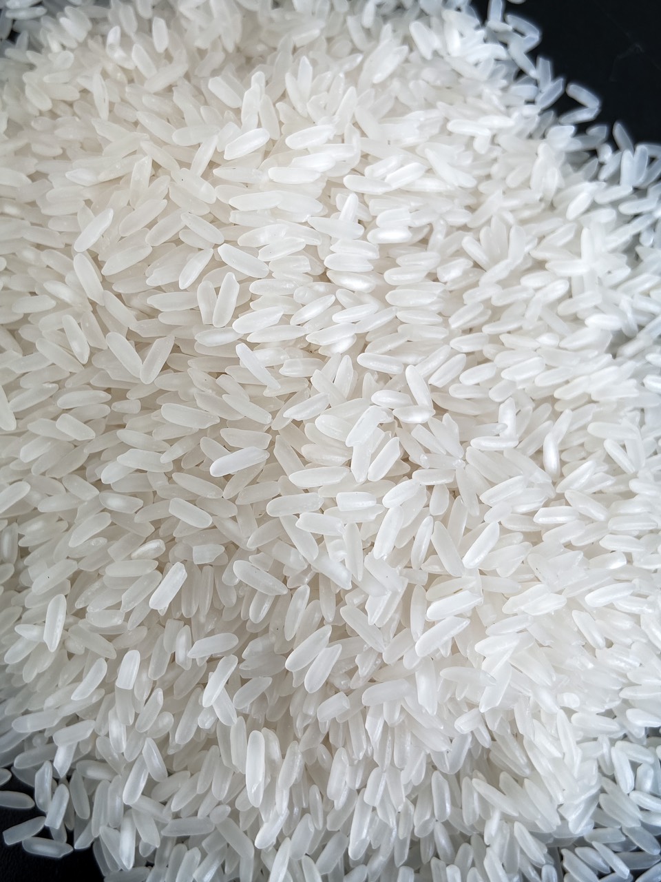 Additional Vilaconic grain photograph — representative fragrant rice view