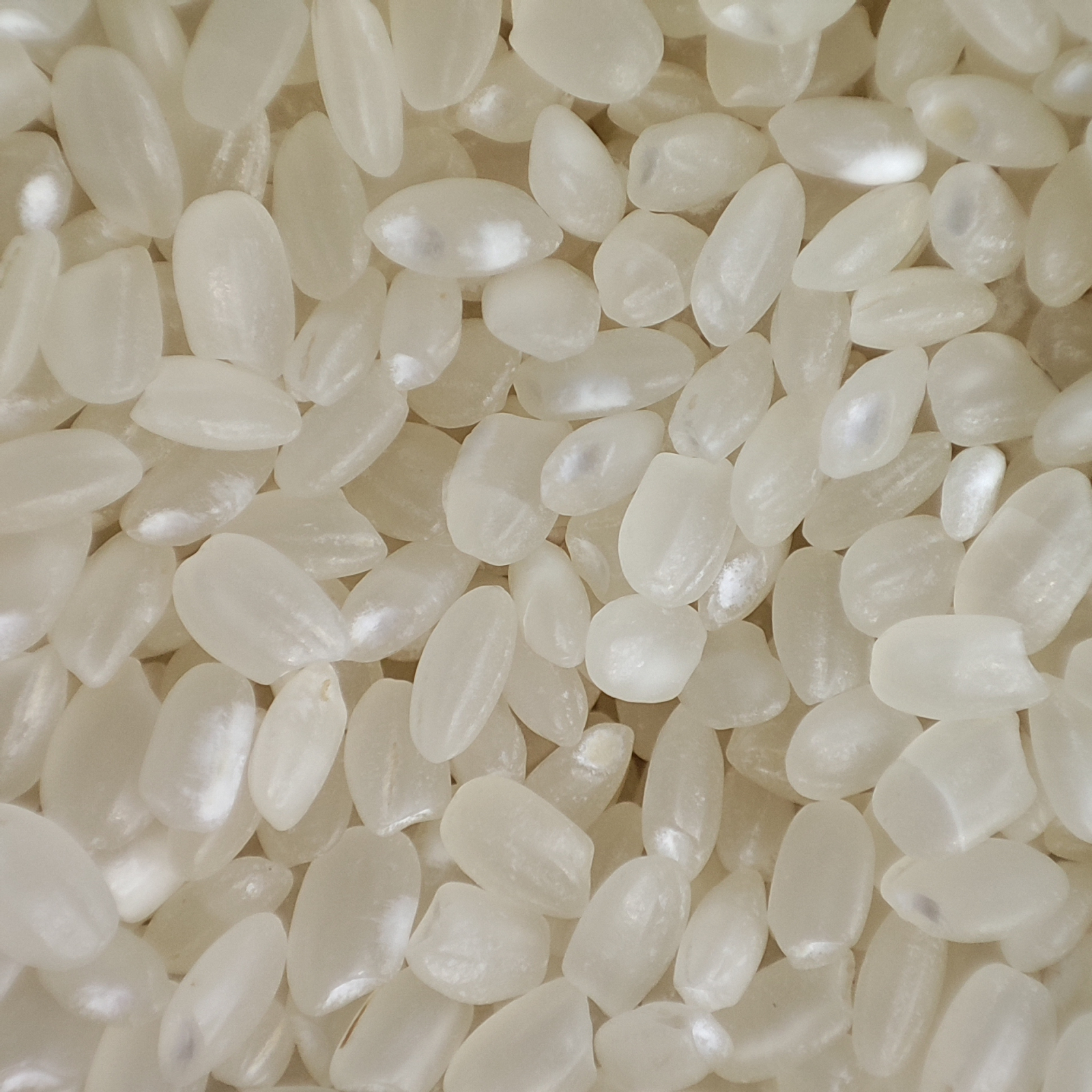 Additional Vilaconic grain photograph