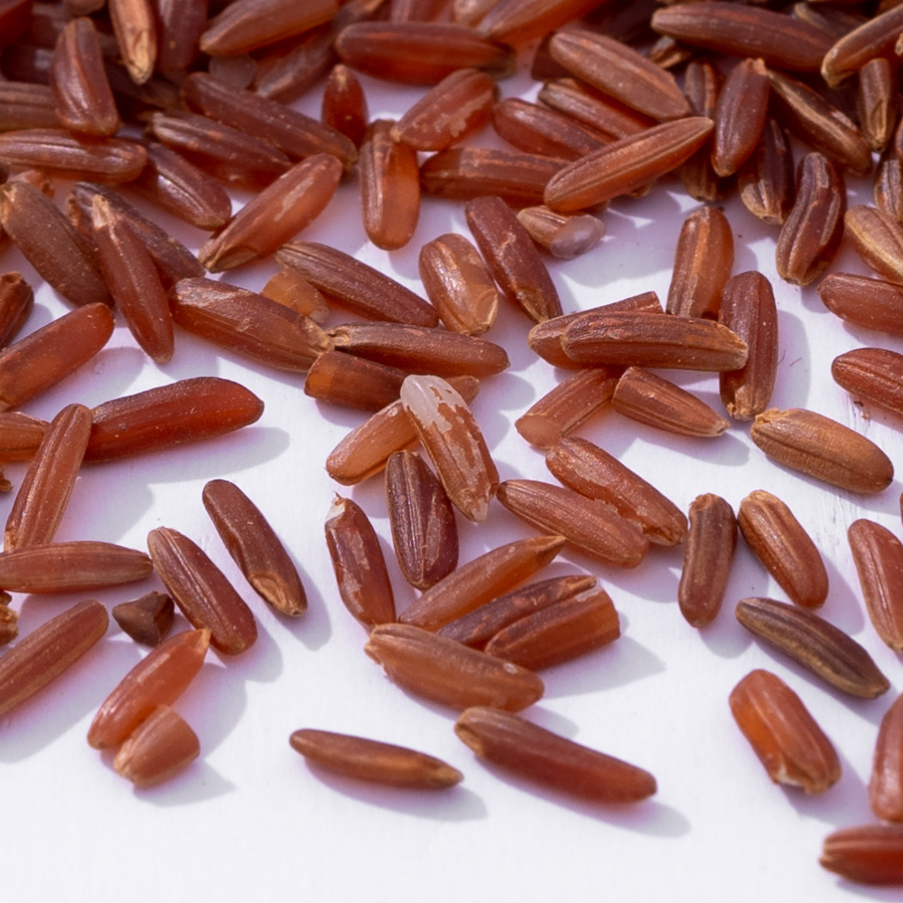Additional Vilaconic grain photograph
