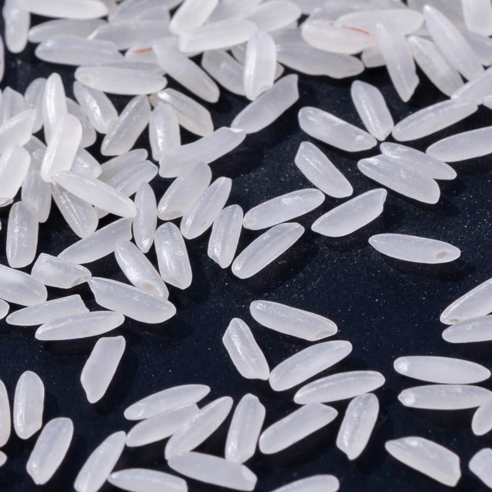 Additional Vilaconic grain photograph — representative fragrant rice view