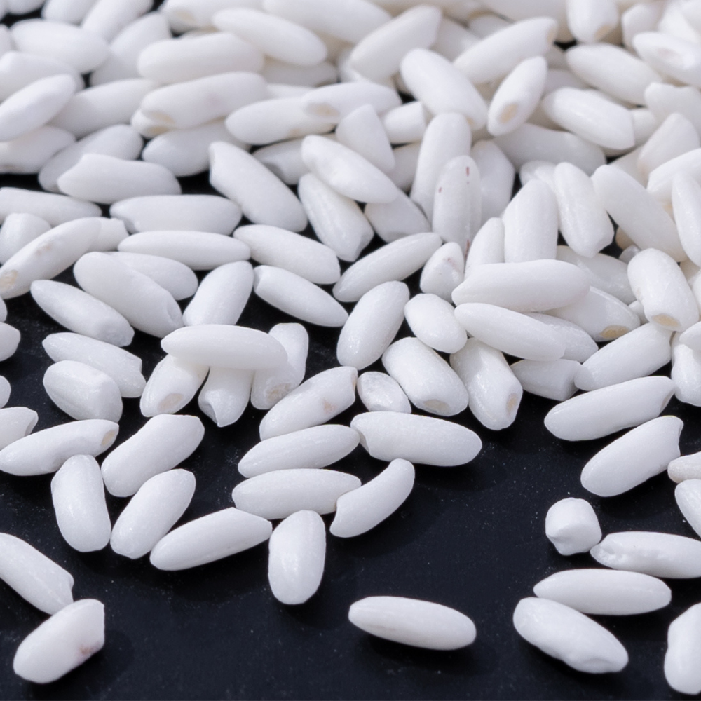 Additional Vilaconic grain photograph