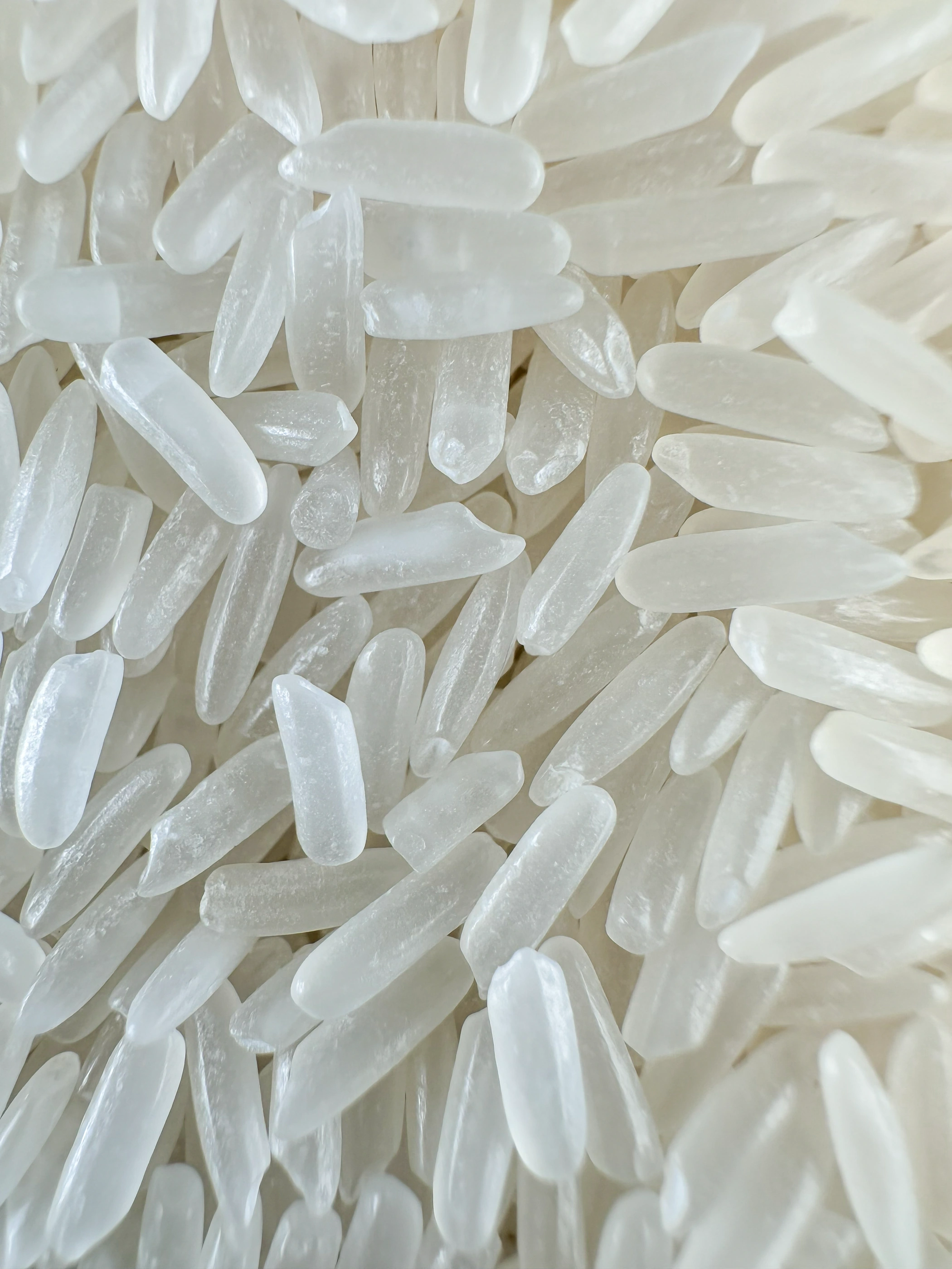 Đài Thơm 8 · Grain close-up
