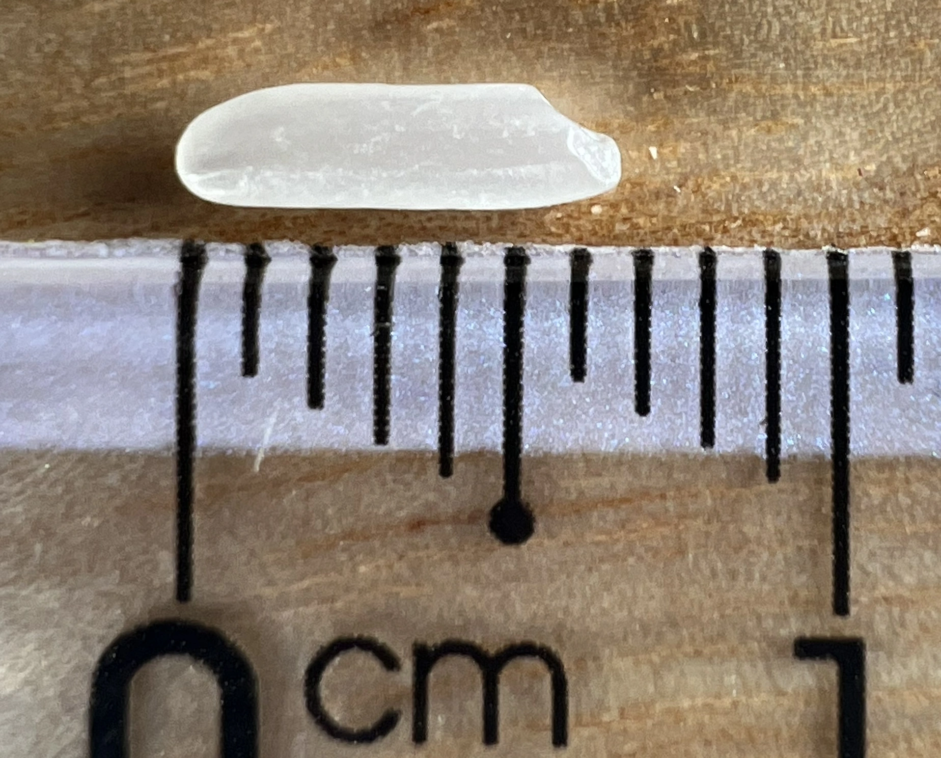 OM5451 · Grain beside a ruler