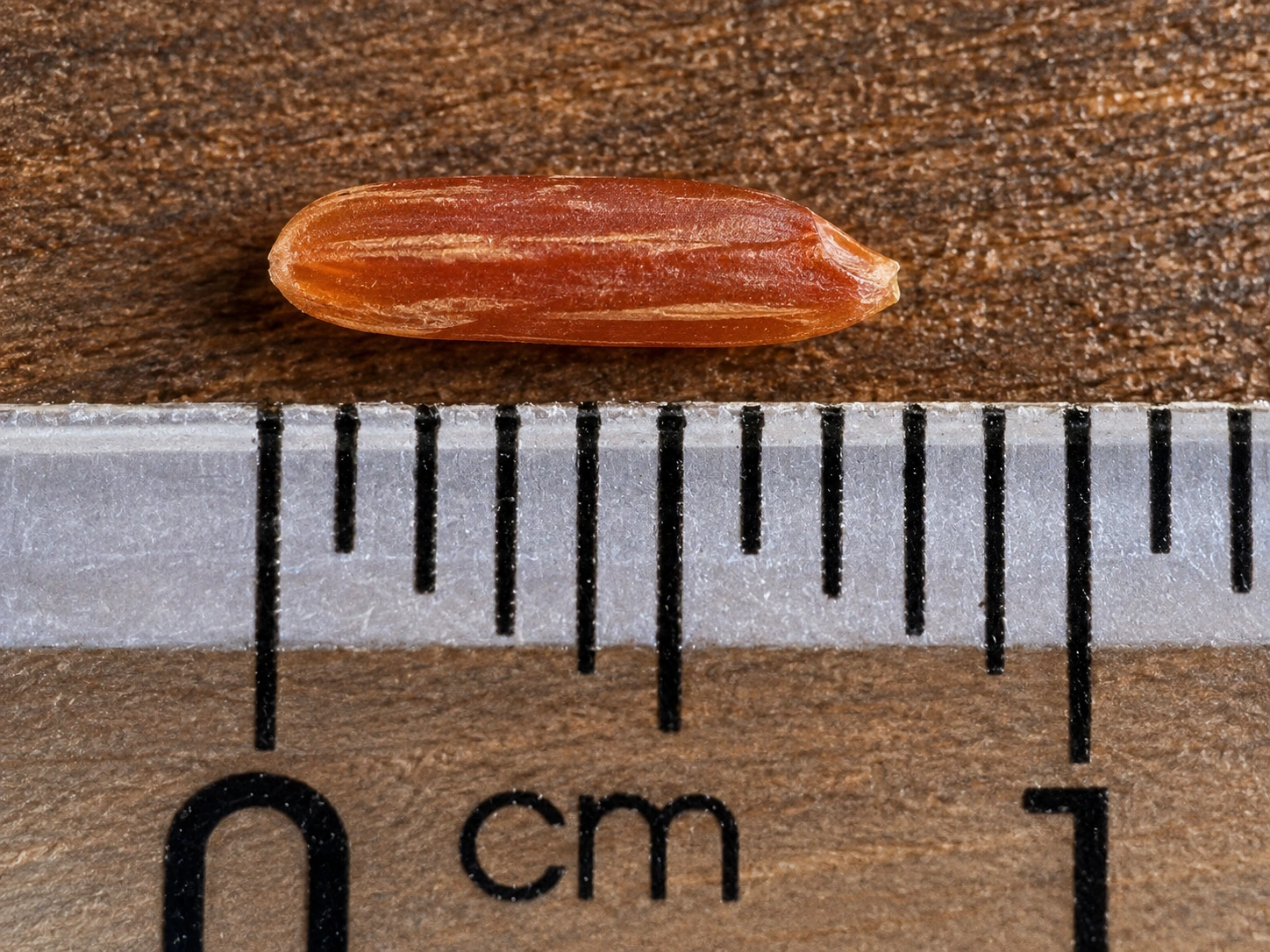 Huyết Rồng · Grain detail / measurement
