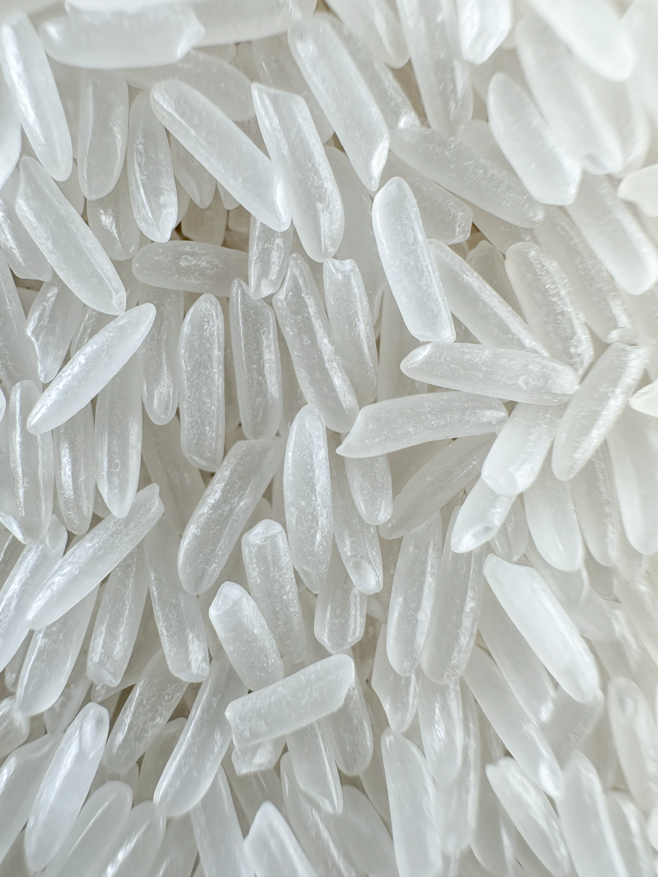 ST21 · Grain close-up