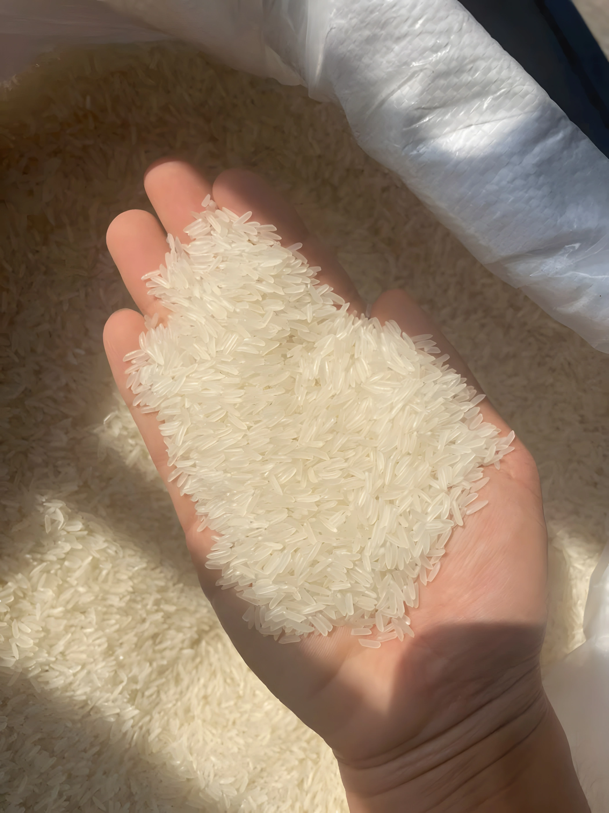 ST21 sample in hand — first view