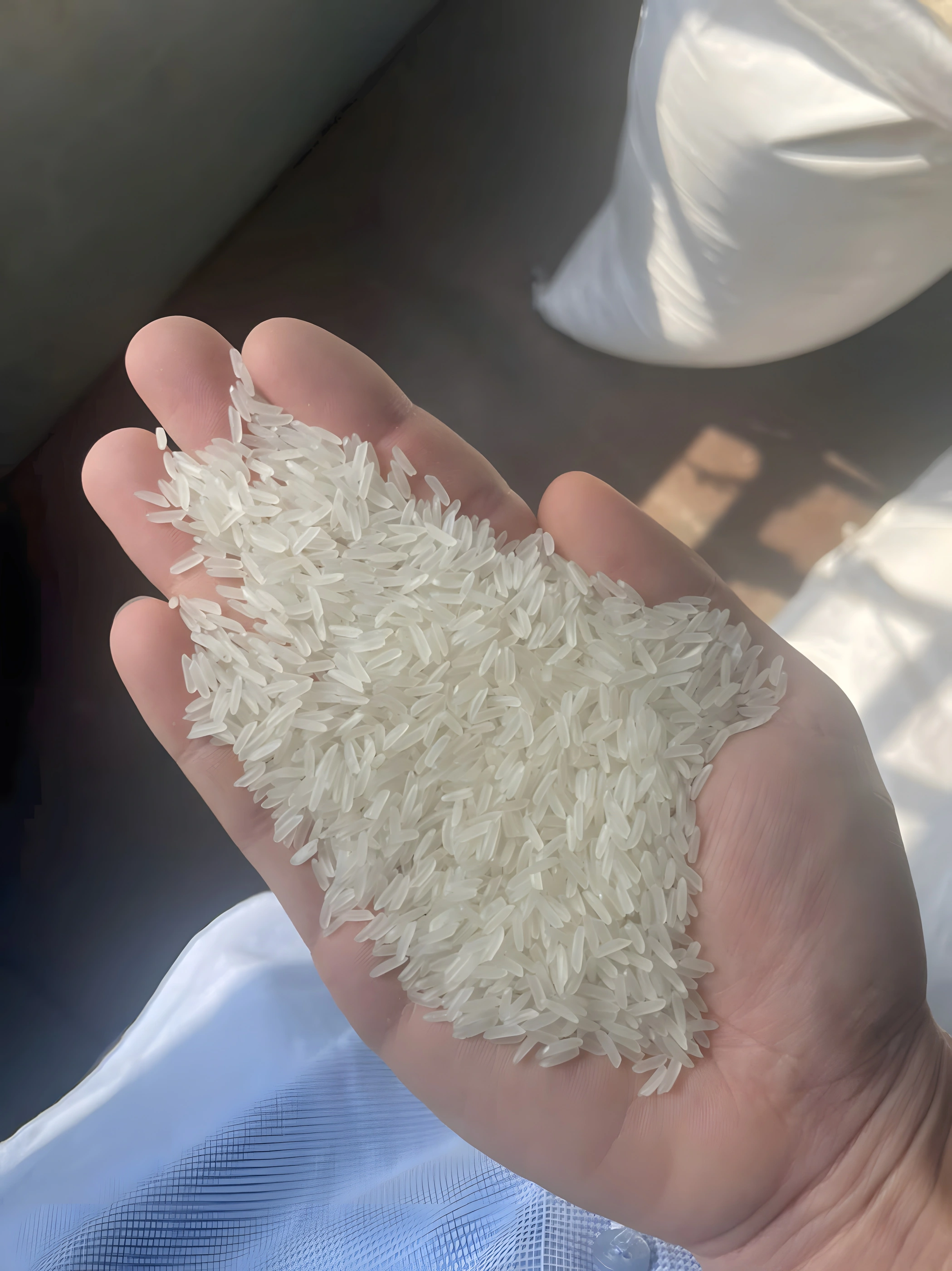 ST21 sample in hand — second view